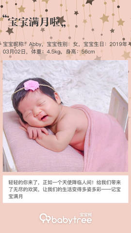 journal_insert_pic_1209374518