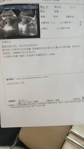 journal_insert_pic_1209518661