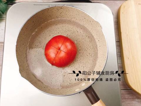 journal_insert_pic_1210152349