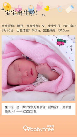 journal_insert_pic_1210155055