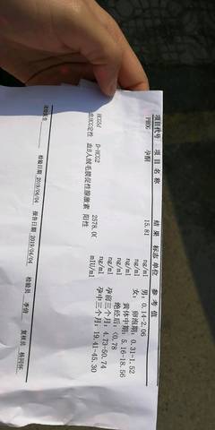 journal_insert_pic_1210503159
