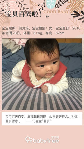 journal_insert_pic_1211697083