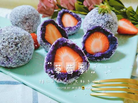 journal_insert_pic_1212827325