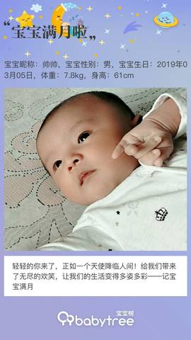 journal_insert_pic_1212724702