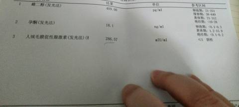 journal_insert_pic_1212617026