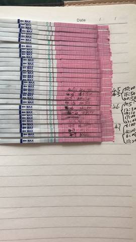 journal_insert_pic_1212573268