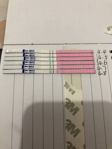 journal_insert_pic_1212486411