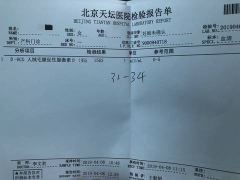 journal_insert_pic_1212604754
