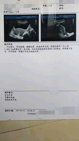 journal_insert_pic_1213894451