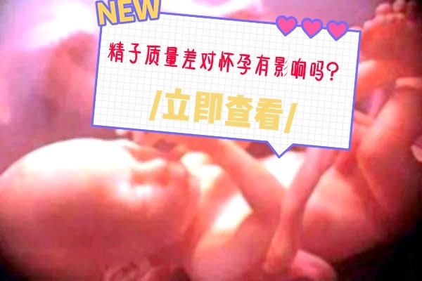 【健康知识科普】精子质量差容易导致流产吗？