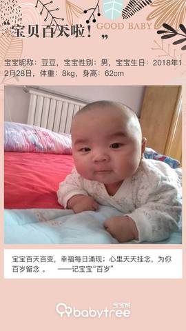 journal_insert_pic_1214521215