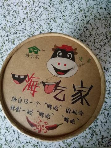 journal_insert_pic_1215425504