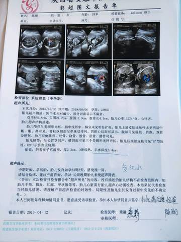journal_insert_pic_1215800721