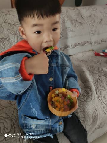 journal_insert_pic_1215643441