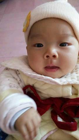 journal_insert_pic_1216408023