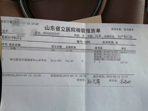 journal_insert_pic_1217225194