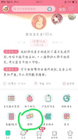 journal_insert_pic_1217598573