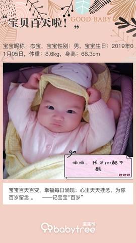 journal_insert_pic_1218150237