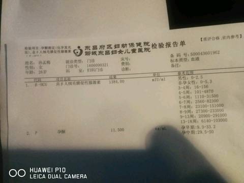 journal_insert_pic_1218539691