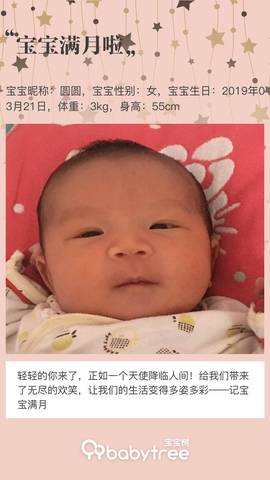 journal_insert_pic_1218213155