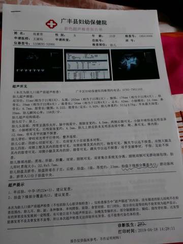 journal_insert_pic_1219107771