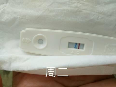 journal_insert_pic_1219368101