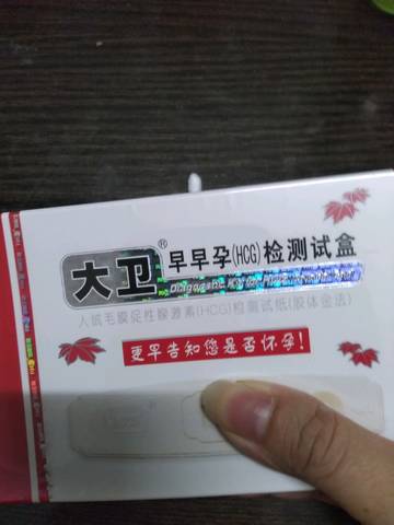 journal_insert_pic_1220369041