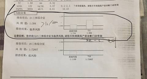 journal_insert_pic_1220201218