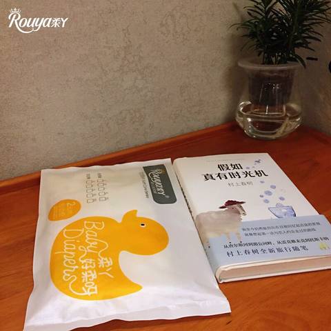 journal_insert_pic_1220734917