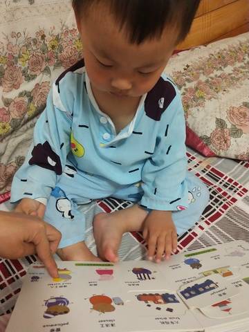 journal_insert_pic_1220725897