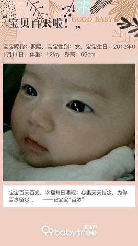 journal_insert_pic_1220708855