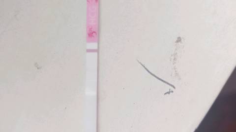 journal_insert_pic_1221362229