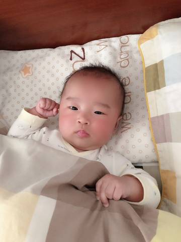 journal_insert_pic_1221522595