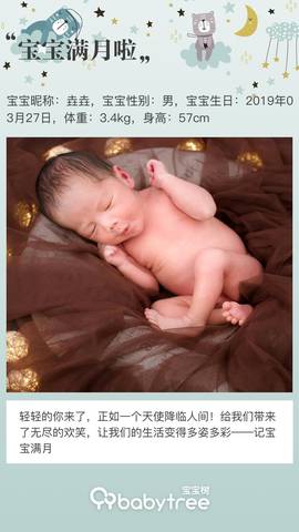 journal_insert_pic_1222581376