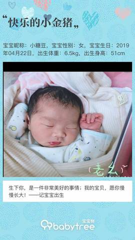 journal_insert_pic_1222643440