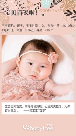 journal_insert_pic_1222451806