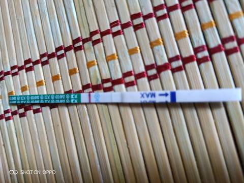 journal_insert_pic_1223246990