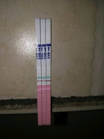 journal_insert_pic_1223362077