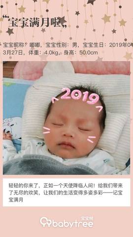 journal_insert_pic_1223570273