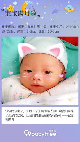 journal_insert_pic_1223061529