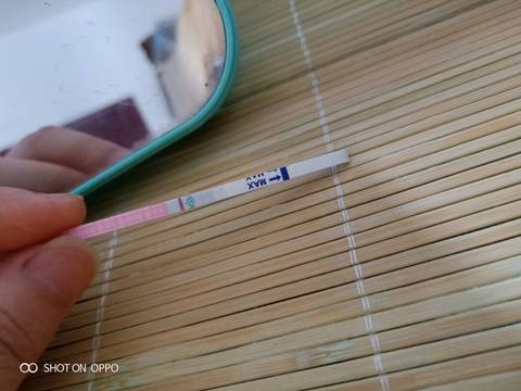 journal_insert_pic_1223246960