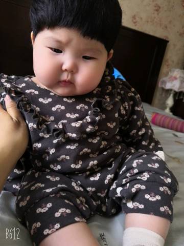 journal_insert_pic_1223844851