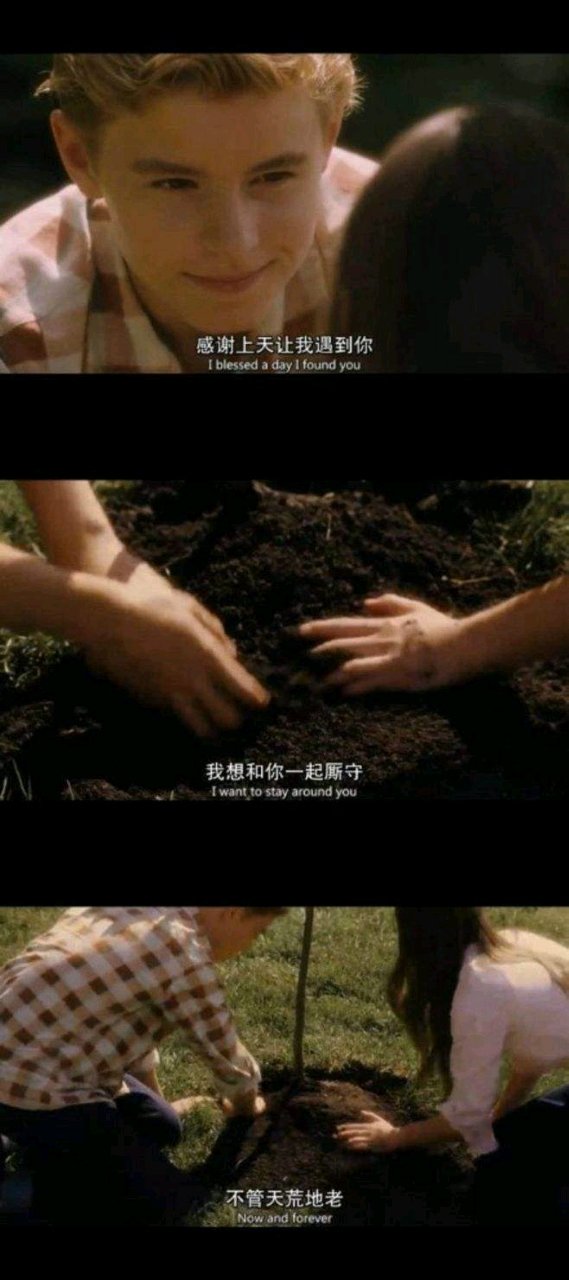 分享一部找回怦然心动的电影