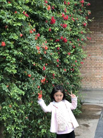 journal_insert_pic_1224907702