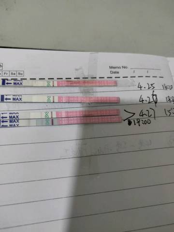 journal_insert_pic_1224731570