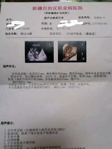 journal_insert_pic_1224391771