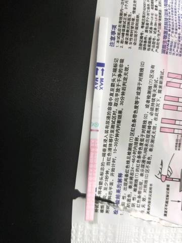 journal_insert_pic_1225081708