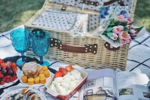 journal_insert_pic_1225326807