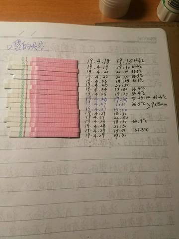 journal_insert_pic_1226033164