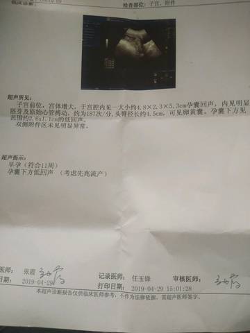 journal_insert_pic_1225939634